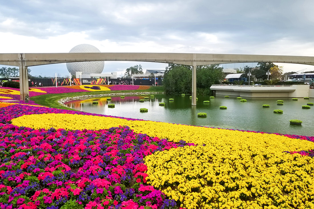 Mickey head flower bed at Epcot